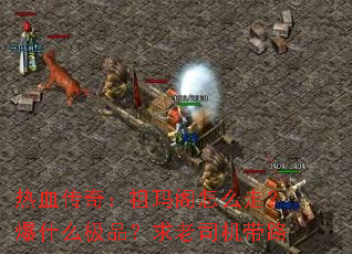 ��Ѫ���棺�������ô�ߣ���ʲô��Ʒ������˾����·