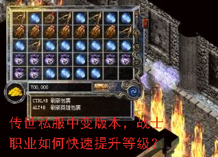 传世私服中变版本,战士职业如何快速提升等级? 传世私服中变版本,战士职业如何快速提升等级?