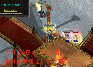 传奇176复古版本,新手村如何快速升级打宝? 传奇176复古版本,新手村如何快速升级打宝?