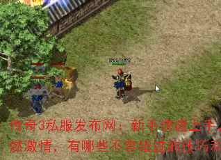 传奇3私服发布网:新手快速上手,老玩家重燃激情,有哪些不容错过的技巧和隐藏福利? 传奇3私服发布网:新手快速上手,老玩家重燃激情,有哪些不容错过的技巧和隐藏福利?