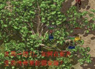 开局一把刀,如何在新开变态传奇里称霸全服? 开局一把刀,如何在新开变态传奇里称霸全服?