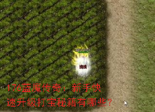 176蓝魔传奇:新手快速升级打宝秘籍有哪些? 176蓝魔传奇:新手快速升级打宝秘籍有哪些?