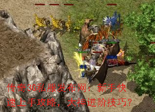 传奇3G私服发布网:新手快速上手攻略,大神进阶技巧? 传奇3G私服发布网:新手快速上手攻略,大神进阶技巧?