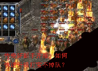 ����SF���ֿ�������ο��������򱦲����ӣ�