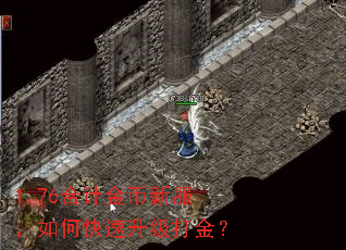 1.76合计金币新服,如何快速升级打金? 1.76合计金币新服,如何快速升级打金?