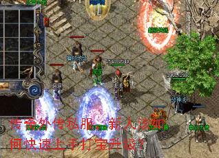 传奇外传私服,新人该如何快速上手打宝升级? 传奇外传私服,新人该如何快速上手打宝升级?