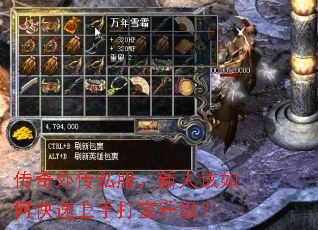 传奇外传私服,新人该如何快速上手打宝升级? 传奇外传私服,新人该如何快速上手打宝升级?