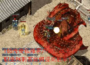 185传奇私服客户端:战士职业PK刺客如何提高胜率? 185传奇私服客户端:战士职业PK刺客如何提高胜率?