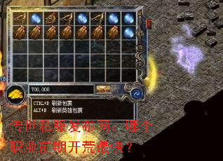 传世私服发布网:哪个职业前期开荒最快? 传世私服发布网:哪个职业前期开荒最快?