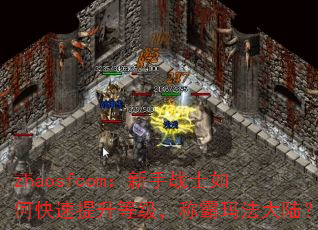zhaosfcom:新手战士如何快速提升等级,称霸玛法大陆? zhaosfcom:新手战士如何快速提升等级,称霸玛法大陆?