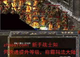 zhaosfcom:新手战士如何快速提升等级,称霸玛法大陆? zhaosfcom:新手战士如何快速提升等级,称霸玛法大陆?