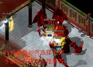 传奇私服如何选择?新手必备攻略与问题解答 传奇私服如何选择?新手必备攻略与问题解答