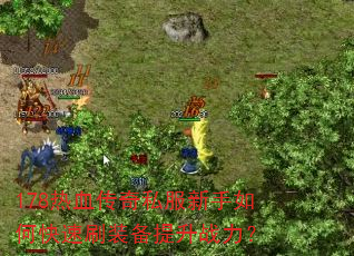 178热血传奇私服新手如何快速刷装备提升战力? 178热血传奇私服新手如何快速刷装备提升战力?