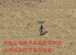 传奇私服新开服首日如何高效冲级并抢夺首杀奖励? 传奇私服新开服首日如何高效冲级并抢夺首杀奖励?