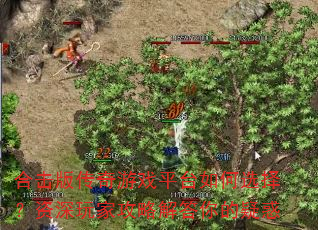 合击版传奇游戏平台如何选择?资深玩家攻略解答你的疑惑 合击版传奇游戏平台如何选择?资深玩家攻略解答你的疑惑