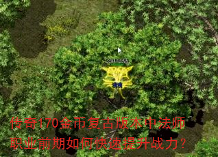 传奇170金币复古版本中法师职业前期如何快速提升战力? 传奇170金币复古版本中法师职业前期如何快速提升战力?