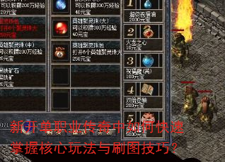 �¿���ְҵ��������ο������պ����淨��ˢͼ���ɣ�