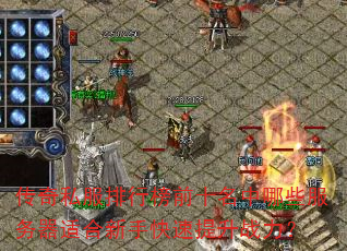 传奇私服排行榜前十名中哪些服务器适合新手快速提升战力? 传奇私服排行榜前十名中哪些服务器适合新手快速提升战力?