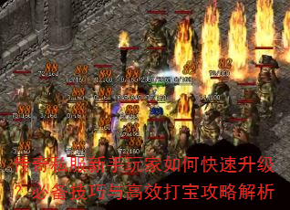 ����˽�����������ο����������ر��������Ч�򱦹��Խ���