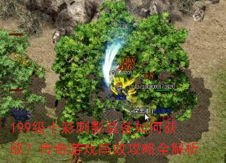 199级十彩刺影装备如何获取?传奇游戏高效攻略全解析 199级十彩刺影装备如何获取?传奇游戏高效攻略全解析