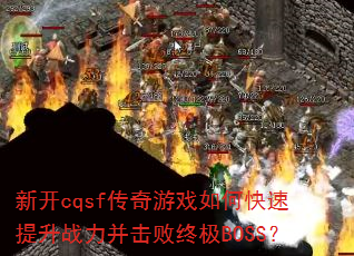 �¿�cqsf������Ϸ��ο�������ս���������ռ�BOSS��