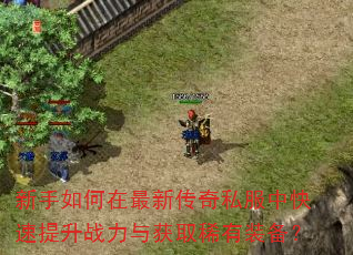 新手如何在最新传奇私服中快速提升战力与获取稀有装备? 新手如何在最新传奇私服中快速提升战力与获取稀有装备?