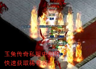 ���ô���˽������ο��ٻ�ȡϡ��װ����