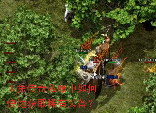 ���ô���˽������ο��ٻ�ȡϡ��װ����