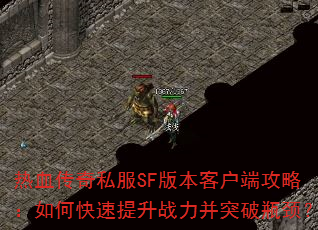 ��Ѫ����˽��SF�汾�ͻ��˹��ԣ���ο�������ս����ͻ��ƿ����