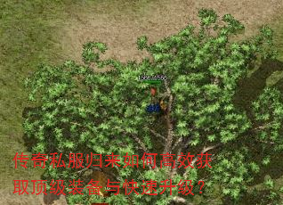 传奇私服归来如何高效获取顶级装备与快速升级? 传奇私服归来如何高效获取顶级装备与快速升级?