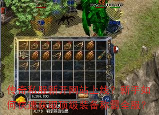 传奇私服新开网站上线?新手如何快速获取顶级装备称霸全服? 传奇私服新开网站上线?新手如何快速获取顶级装备称霸全服?