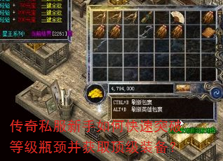 传奇私服新手如何快速突破等级瓶颈并获取顶级装备? 传奇私服新手如何快速突破等级瓶颈并获取顶级装备?