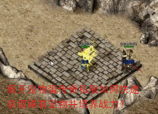 新开宠物蛋传奇私服如何快速获取稀有宠物并培养战力? 新开宠物蛋传奇私服如何快速获取稀有宠物并培养战力?