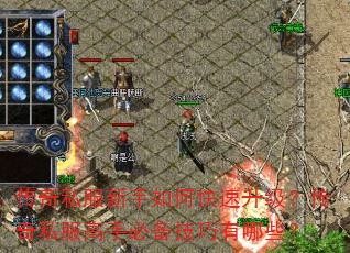 ����˽��������ο�������������˽�����ֱر���������Щ��