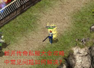 新开传奇私服大全攻略中常见问题如何解决? 新开传奇私服大全攻略中常见问题如何解决?