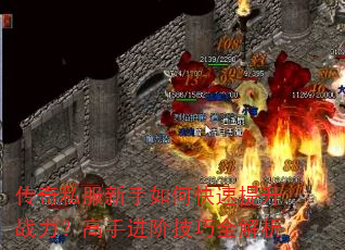 传奇私服新手如何快速提升战力?高手进阶技巧全解析 传奇私服新手如何快速提升战力?高手进阶技巧全解析