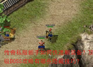 ����˽��������ο���ˢװ��������BOSS��������Щ���ؼ��ɣ�