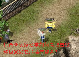 传奇SF玩家必学如何高效击败终极BOSS获取稀有装备? 传奇SF玩家必学如何高效击败终极BOSS获取稀有装备?