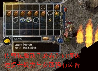 传奇私服新手必看?如何快速提升战力与获取稀有装备 传奇私服新手必看?如何快速提升战力与获取稀有装备