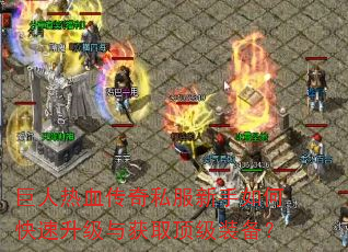 ������Ѫ����˽��������ο����������ȡ����װ����