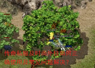 传奇私服及时雨外挂如何正确使用及常见问题解决? 传奇私服及时雨外挂如何正确使用及常见问题解决?
