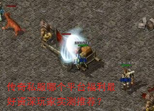 ����˽���ĸ�ƽ̨��������������ʵ���Ƽ���