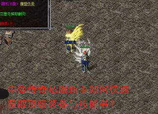 �б䴫��˽��������ο��ٻ�ȡ����װ���뼼���飿