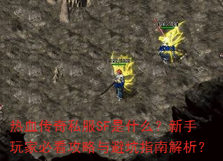 热血传奇私服SF是什么?新手玩家必看攻略与避坑指南解析? 热血传奇私服SF是什么?新手玩家必看攻略与避坑指南解析?
