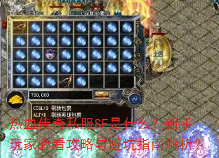 热血传奇私服SF是什么?新手玩家必看攻略与避坑指南解析? 热血传奇私服SF是什么?新手玩家必看攻略与避坑指南解析?