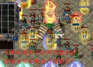 ����˽��������ο������������¿������Լ�������Щ��