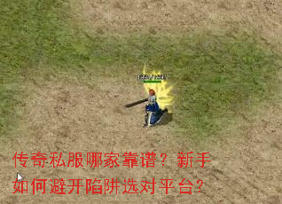 ����˽���ļҿ��ף�������αܿ�����ѡ��ƽ̨��