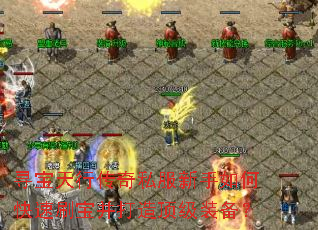 寻宝天行传奇私服新手如何快速刷宝并打造顶级装备? 寻宝天行传奇私服新手如何快速刷宝并打造顶级装备?