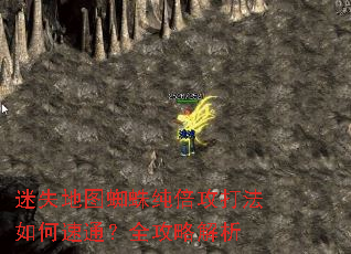 迷失地图蜘蛛纯倍攻打法如何速通?全攻略解析 迷失地图蜘蛛纯倍攻打法如何速通?全攻略解析