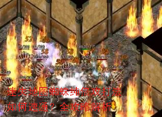 迷失地图蜘蛛纯倍攻打法如何速通?全攻略解析 迷失地图蜘蛛纯倍攻打法如何速通?全攻略解析